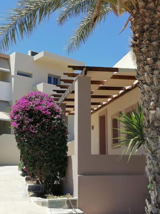 Oinoni'S Home - Aiakos Studio Souvala Exterior photo